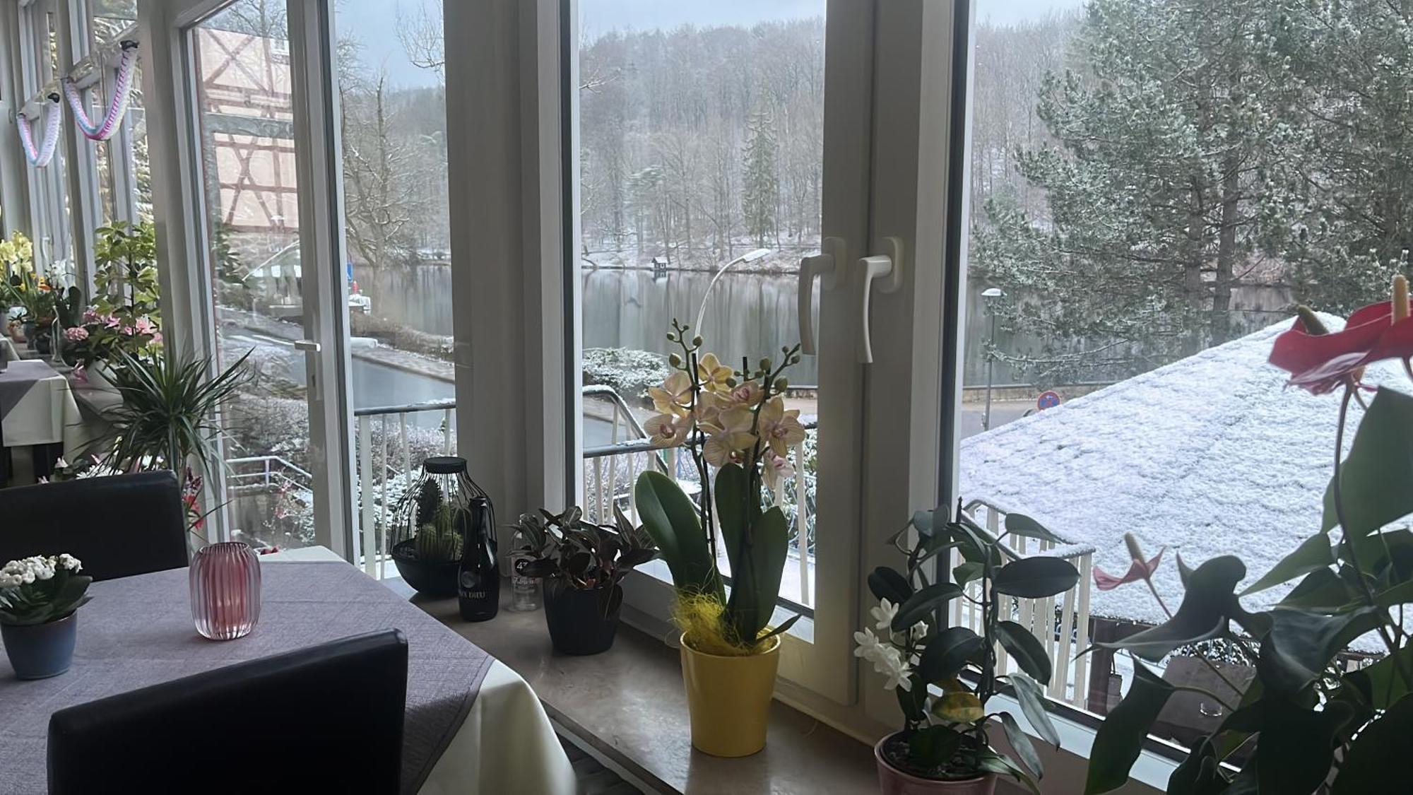 Haus Am See Bad Sachsa Luaran gambar