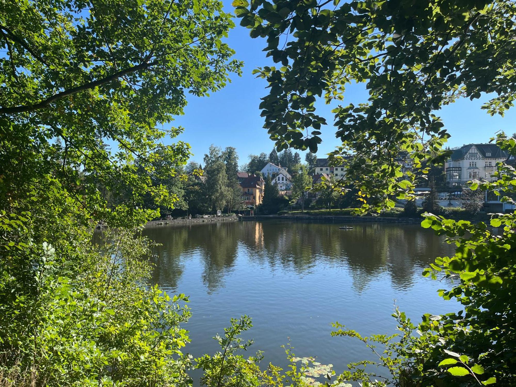 Haus Am See Bad Sachsa Luaran gambar