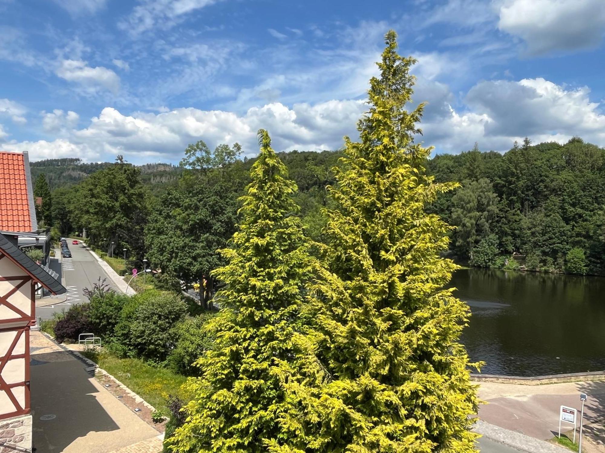 Haus Am See Bad Sachsa Luaran gambar